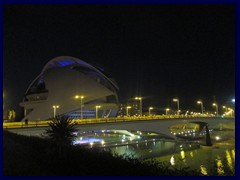 City of Arts and Sciences by night 44 - El Palau de les Arts Reina Sofía, the opera.